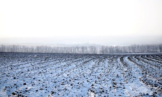 Громади Чернігівщини втрачатимуть 10% коштів від продажу земель -  СУСПІЛЬНИЙ КОРЕСПОНДЕНТ