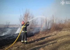 За тиждень вогнеборці Чернігівщини ліквідували понад 300 пожеж